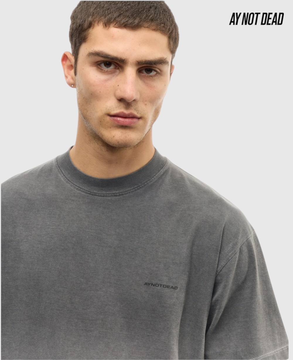 REMERA BOXY FADE