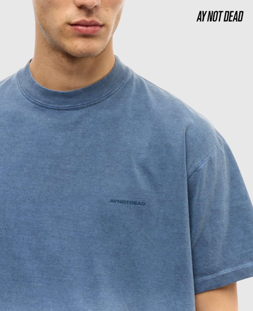 REMERA BOXY FADE