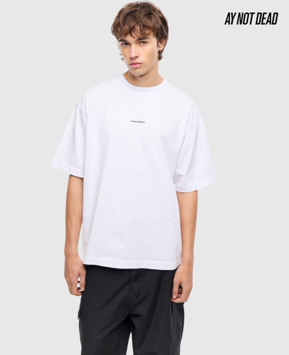 REMERA OVER PESADA