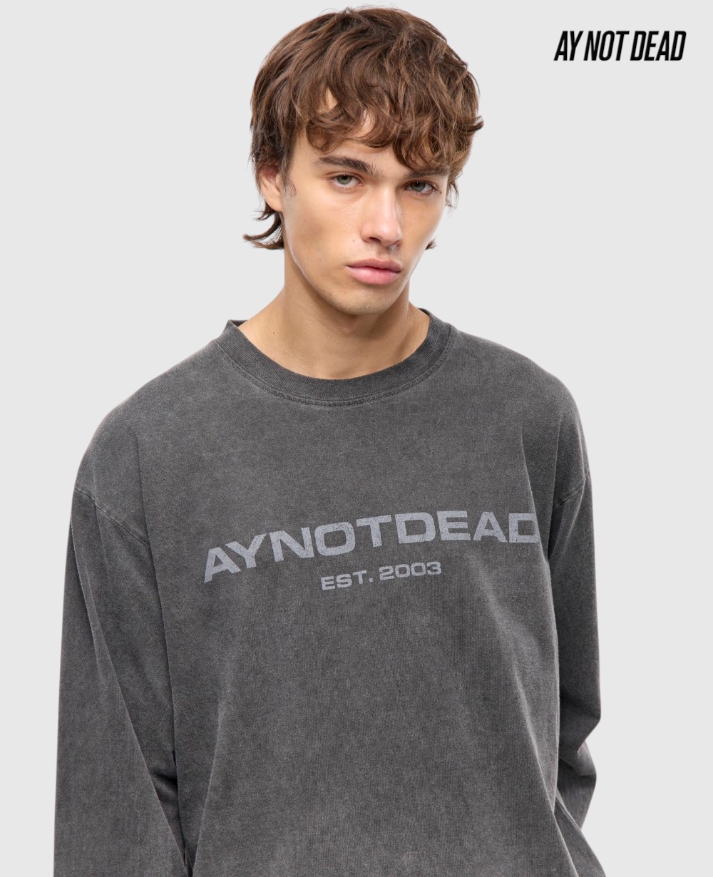 REMERA ML LOGO